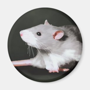 Aimant Peinture de rat mignon