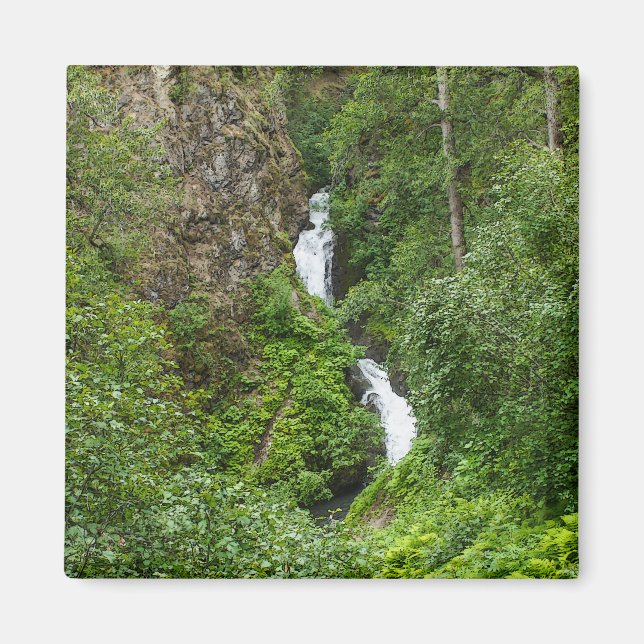 Aimant Peinture de Thunderbird (Devant)