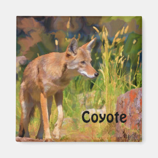 Aimant Peinture d'été sur la faune de Coyote