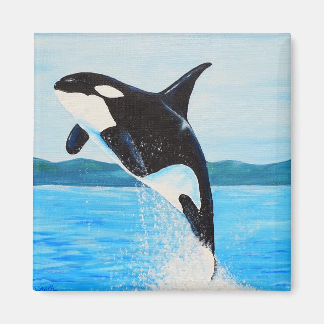 Aimant Peinture Orca (Devant)