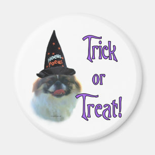 Aimant Pekingese Trick