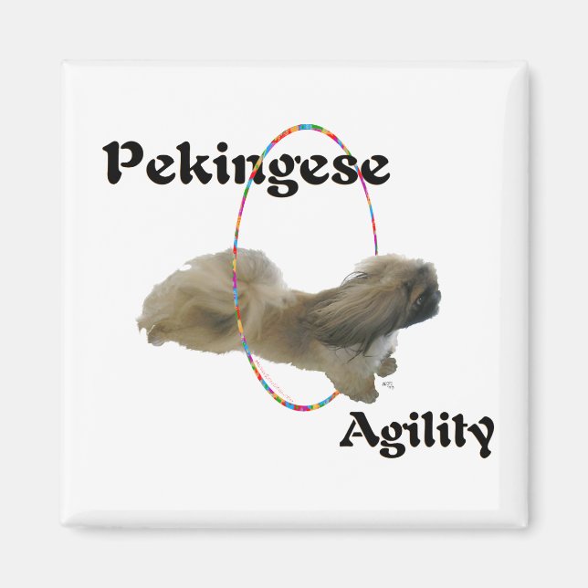 Aimant Pékinois (Devant)