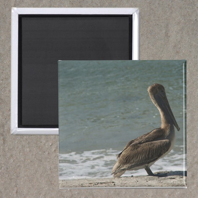 Aimant Pélican sur la plage Photo (A magnet with a photo of a brown pelican enjoying some time near the ocean on the beach.)