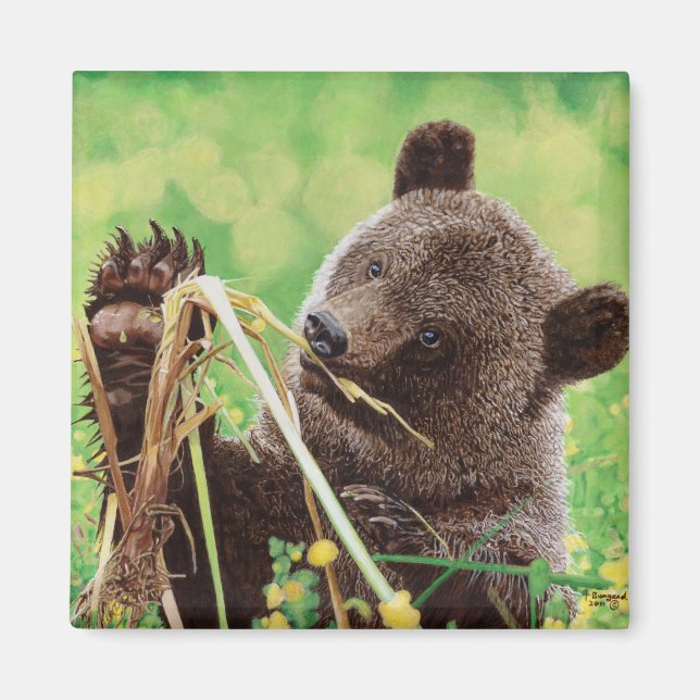 Aimant Perdu à Wonder (Devant)