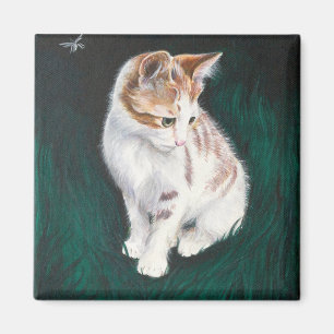 Aimant perdu de chat