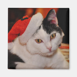 Aimant Père Noël Paws