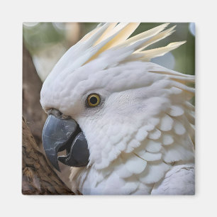Aimant Perroquet de Cockatoo australien blanc,