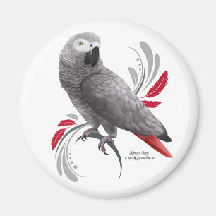 Aimant Perroquet de gris africain