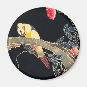 Aimant Perroquet sur la branche d'un Rose en fleurs Bush