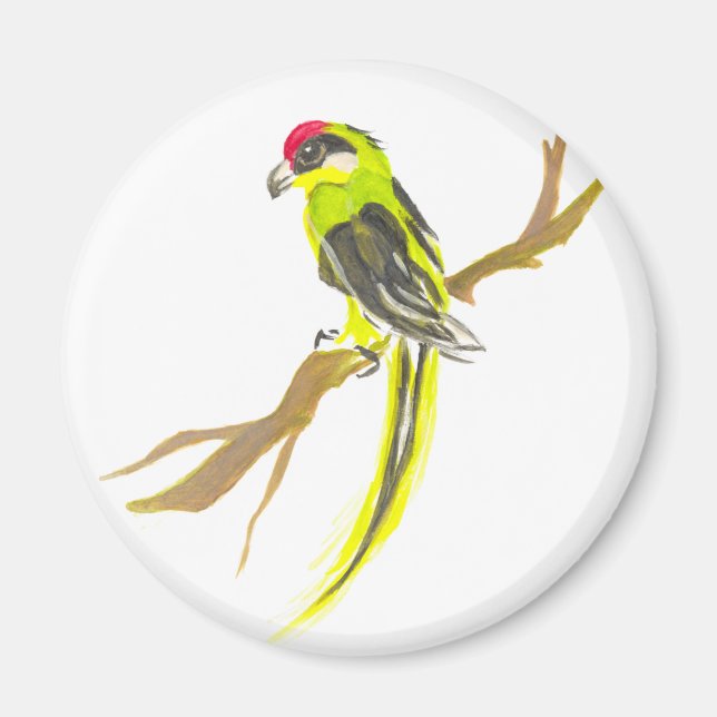 Aimant Perroquet sur une branche. Peinture aquarelle. (Devant)