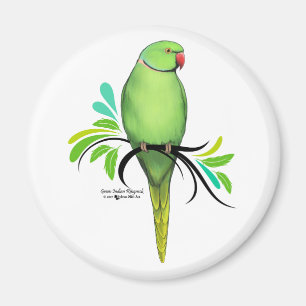 Aimant Perroquet vert de Ringneck d'Indien