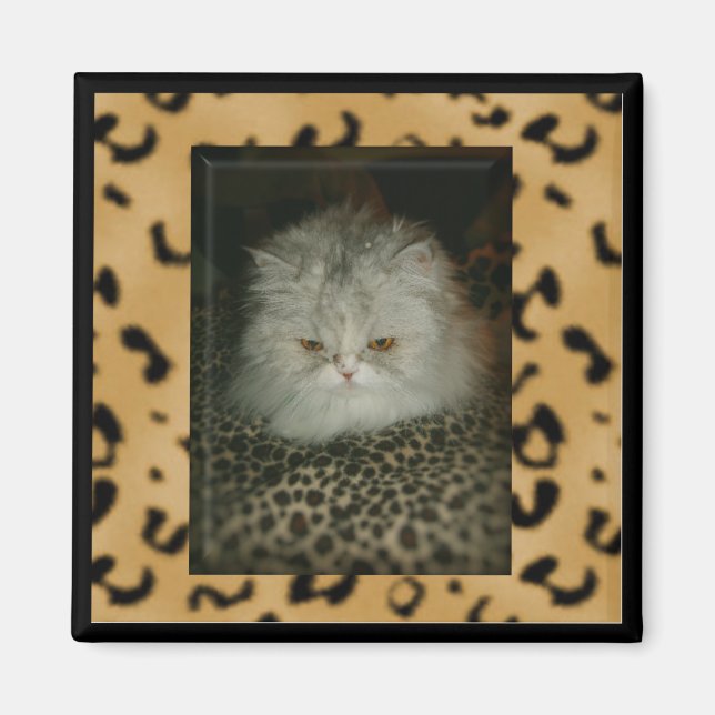 Aimant Persian Kitty (Devant)