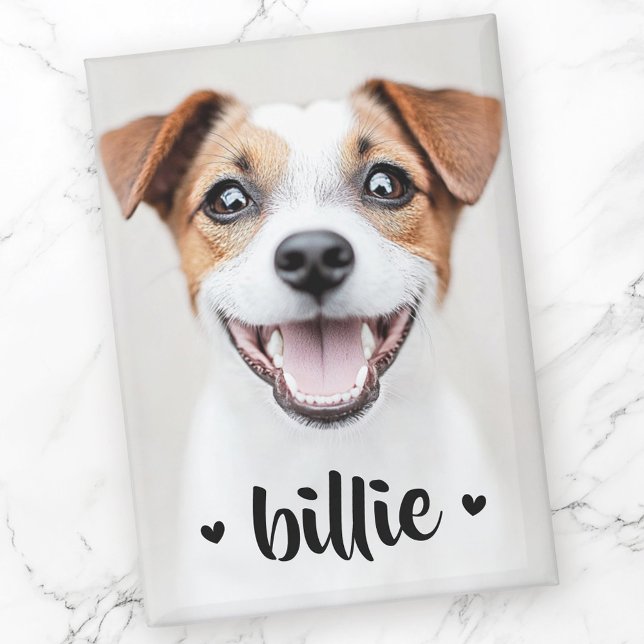 Aimant Pet chien chat photo nom Coeurs mignons (Pet dog cat photo name cute hearts magnet)