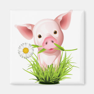 Aimant Petit porc rose dans l'herbe