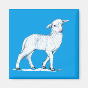 Aimant Petit White Lamb