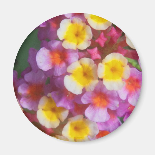 Aimant Petites fleurs tropicales roses et violettes jaune (Devant)