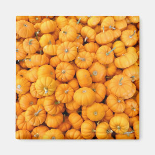 Aimant Petits Citrouilles de récolte de automne orange