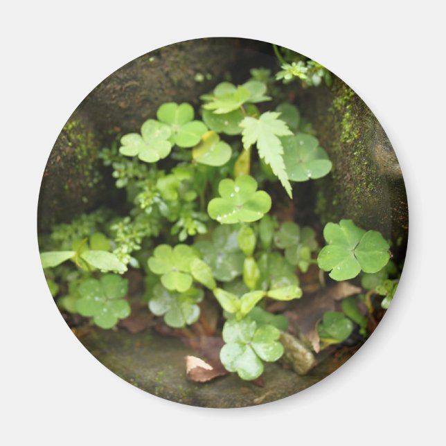 Aimant Petits verts (Devant)