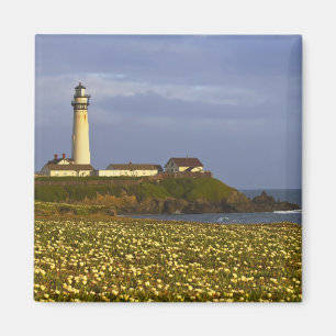 Aimant Phare de la plage d'état de Pigeon Point à San