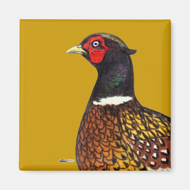 Aimant Pheasant : Tête de Ringneck (Devant)