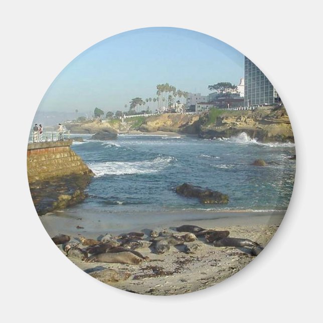Aimant Phoques Sur Sable À La Jolla Cove (Devant)