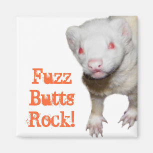 Aimant Photo Albino Ferret