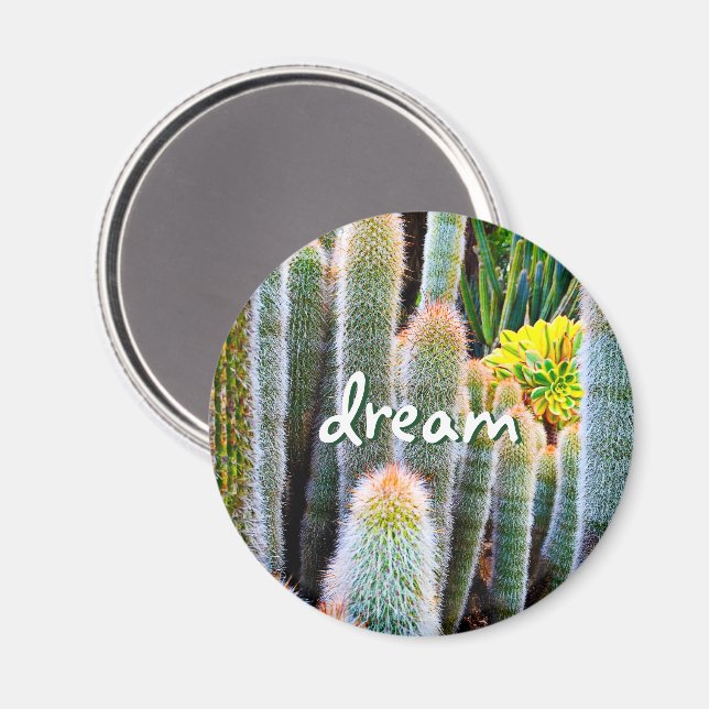 Aimant Photo de cactus vert flou à pointe orange "Dream" (Recto/Verso)