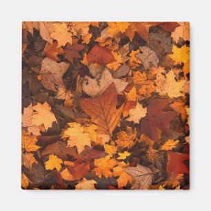 Aimant Photo de feuilles d'automne