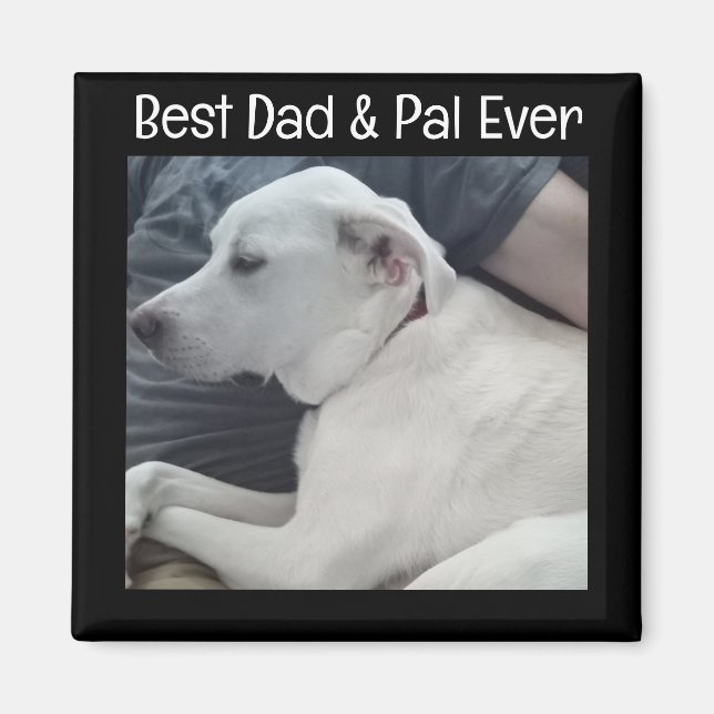 Aimant Photo de mignon chien avec meilleur Carré de Pal E (Devant)
