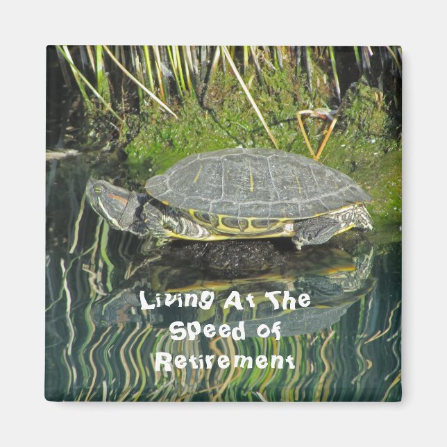 Aimant Photo de tortue de retraite avec réflexion Nature (Devant)