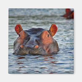 Aimant Photo d'eau d'Hippo Faune