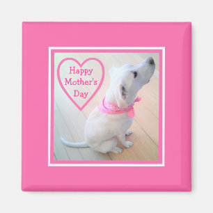 Aimant Photo du mignon chien portant l'écharpe rose Fête 