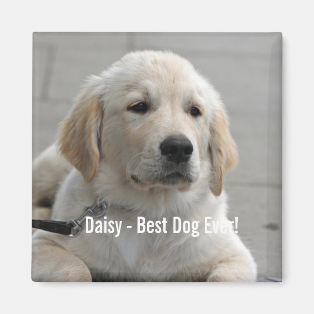 Aimant Photo et nom personnalisés Golden Retriever Dog (Devant)