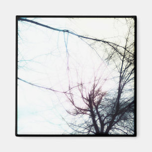 aimant photo instagram