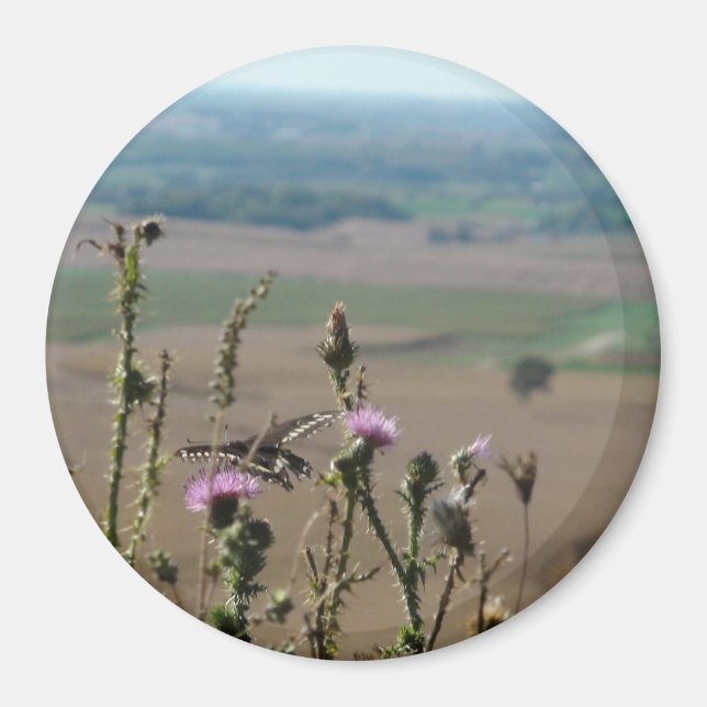 Aimant photo nature et papillon (Devant)