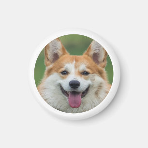 Aimant Photo personnalisée pour animal de compagnie