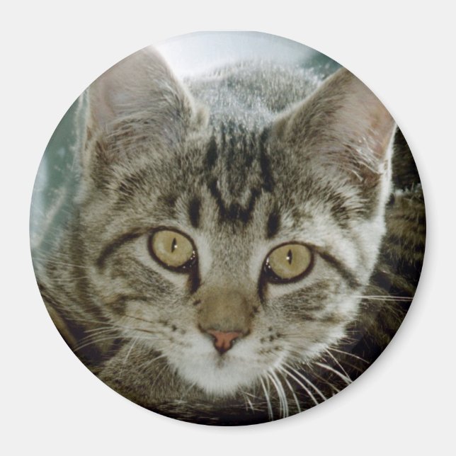 aimant photo - personnaliser avec votre animal de  (Devant)
