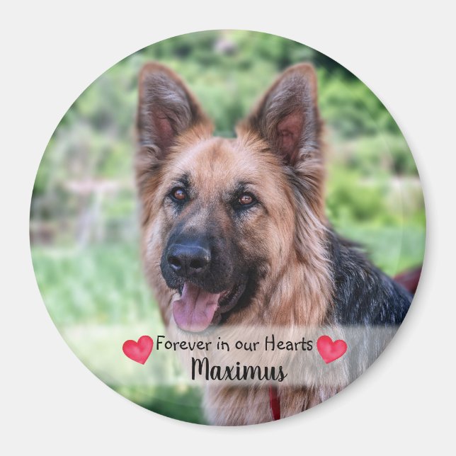 Aimant Photo pour animaux de compagnie - Chien - Chat - M (Devant)