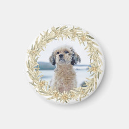 Aimant Photo pour animaux de compagnie Edelweiss Alpine F