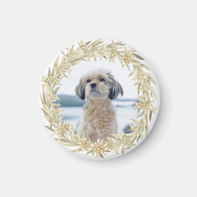 Aimant Photo pour animaux de compagnie Edelweiss Alpine F (Devant)