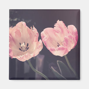 Aimant Photo Tulip Nature