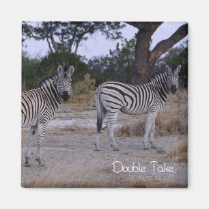 Aimant Photo Zebra Double Take