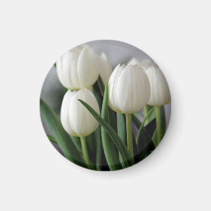 Aimant Photographie de fleurs florales élégantes de tulip