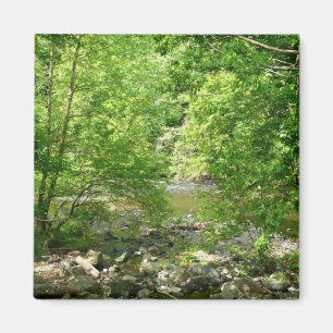 Aimant Photographie de la nature dans le Maryland vue sur