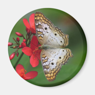Aimant Photographie florale de papillon blanc