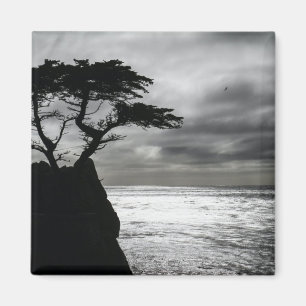 Aimant Photographie nature noir et blanc