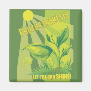 Aimant Photosynthèse