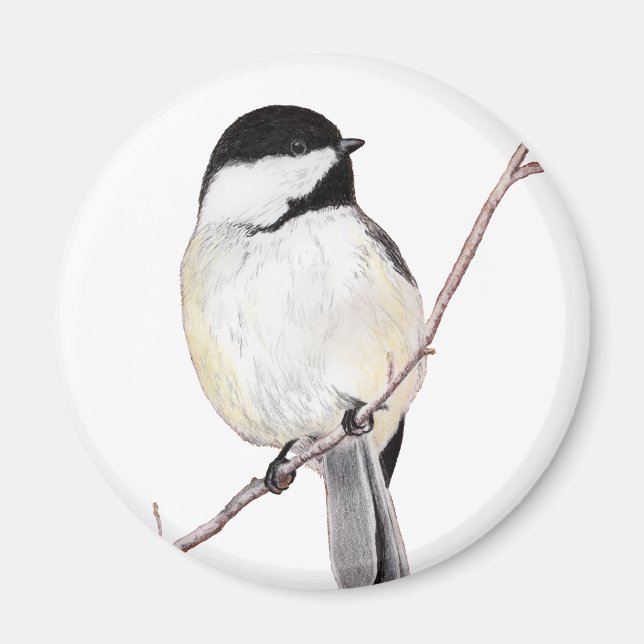 Aimant Pickadee (Devant)