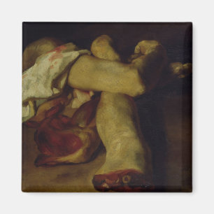 Aimant Pièces anatomiques