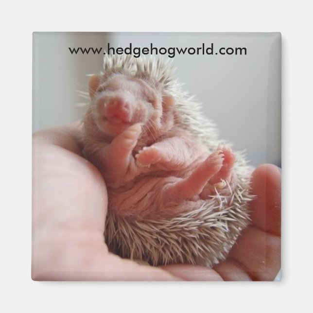 Aimant pieds bébé (Devant)